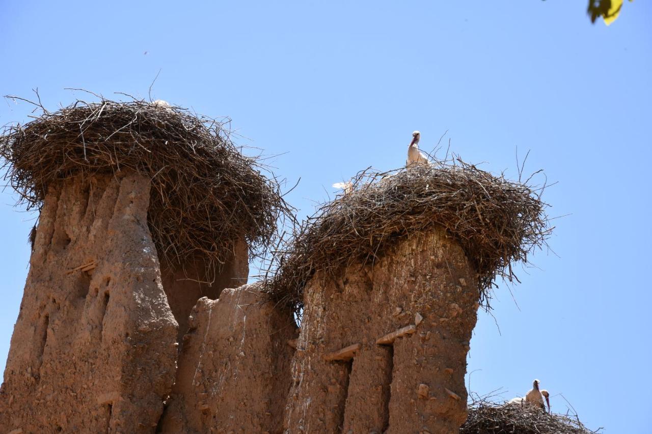 Maison D'Hotes Dar Afra Ait Ziri Esterno foto