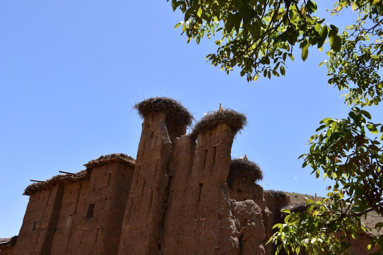 Maison D'Hotes Dar Afra Ait Ziri Esterno foto